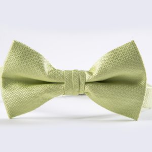 Key Lime Portofino Bow Tie