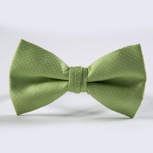 Lime Portofino Bow Tie