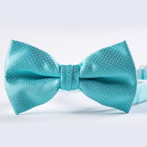 Aqua Portofino Bow Tie