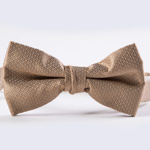 Golden Portofino Bow Tie