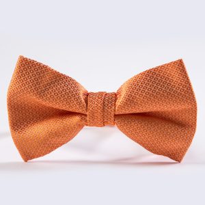 Tangerine Portofino Bow Tie