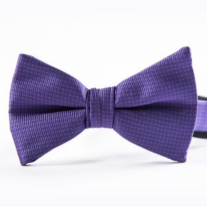 Eggplant Romance Bow Tie