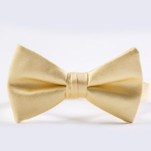 Canary Simply Solid Bow Tie