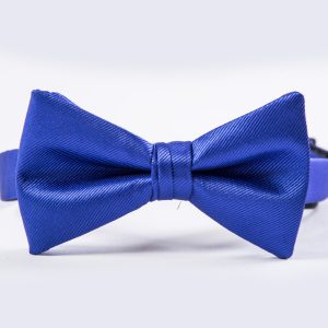 Blue Violet Simply Solid Bow Tie