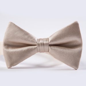 Vera Wang Champagne Simply Solid Bow Tie
