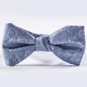 Blue Bird Paisley Bow Tie
