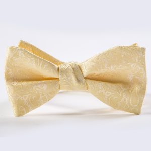 Canary Paisley Bow Tie
