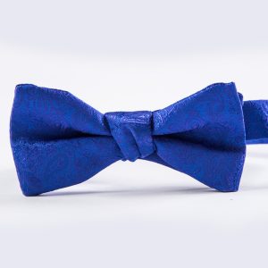 Blue Violet Paisley Bow Tie