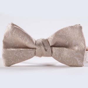 Vera Wang Champagne Simply Solid Paisley Bow Tie