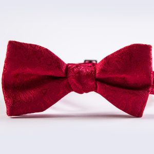 Strawberry Simply Solid Paisley Bow Tie