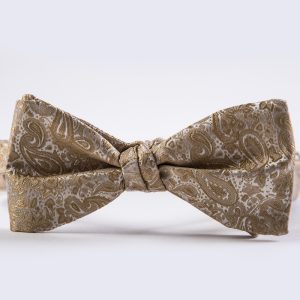 Toffee Gold Simply Solid Paisley Bow Tie