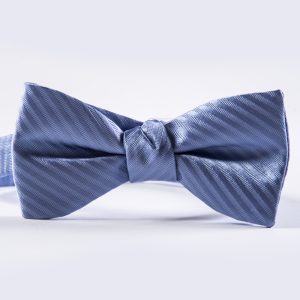 Blue Bird Striped Bow Tie