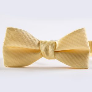 Canary Striped Bow Tie