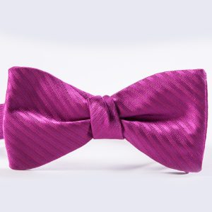 Raspberry Simply Solid Striped Bow Tie