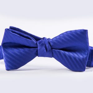 Blue Violet Striped Bow Tie