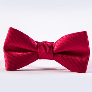 Strawberry Simply Solid Striped Bow Tie
