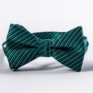 Hunter Synergy Striped Bow Tie