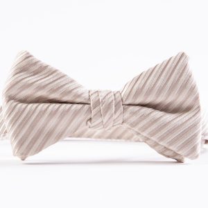 Champagne Synergy Striped Bow Tie