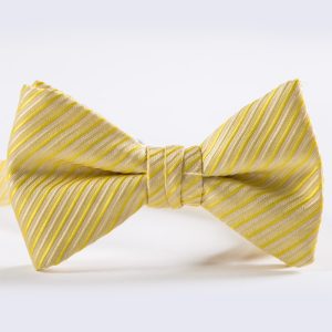 Bright Yellow Synergy Striped Bow Tie