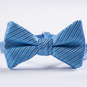Cornflower Striped Bow Tie