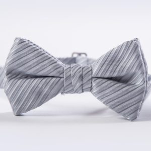 Platinum Synergy Striped Bow Tie