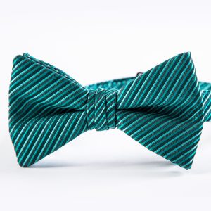 Jade Synergy Striped Bow Tie