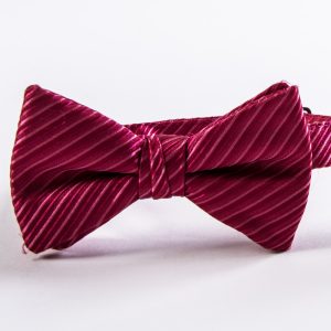 Watermelon Synergy Striped Bow Tie