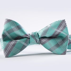 Mint Simply Solid Plaid Bow Tie