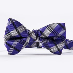Regency Plaid Bow Tie