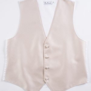 Champagne Synergy Vest