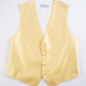 Bright Yellow Synergy Vest