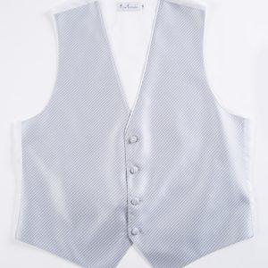 Platinum Synergy Vest